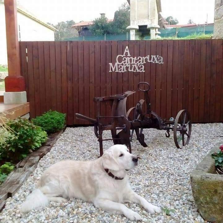 A Cantaruxa Maruxa Turismo Rural Mondariz Luaran gambar