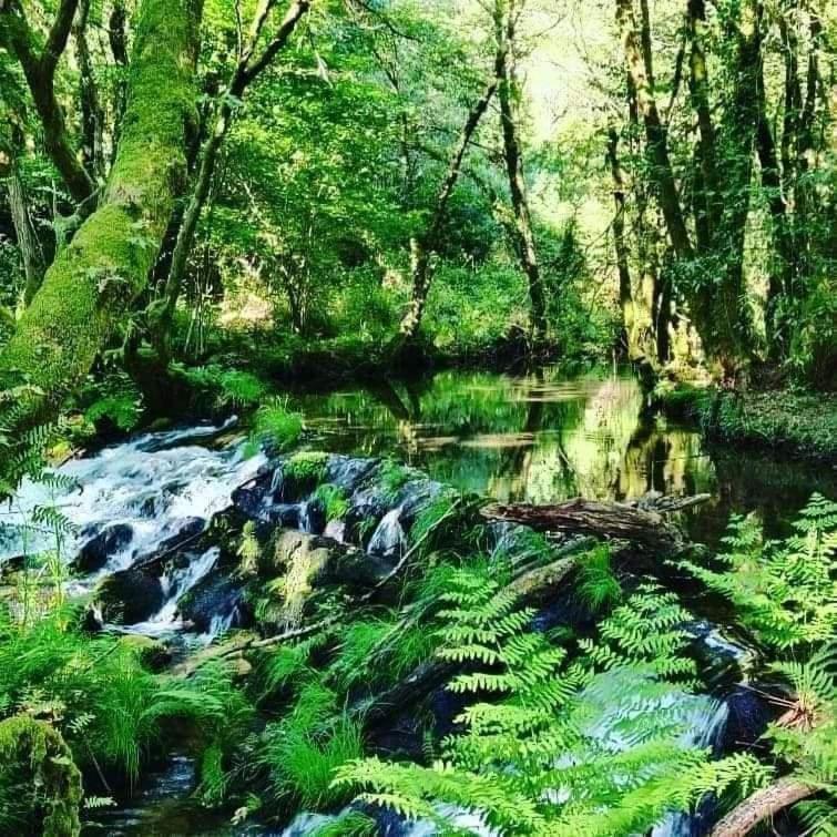 A Cantaruxa Maruxa Turismo Rural Mondariz Luaran gambar