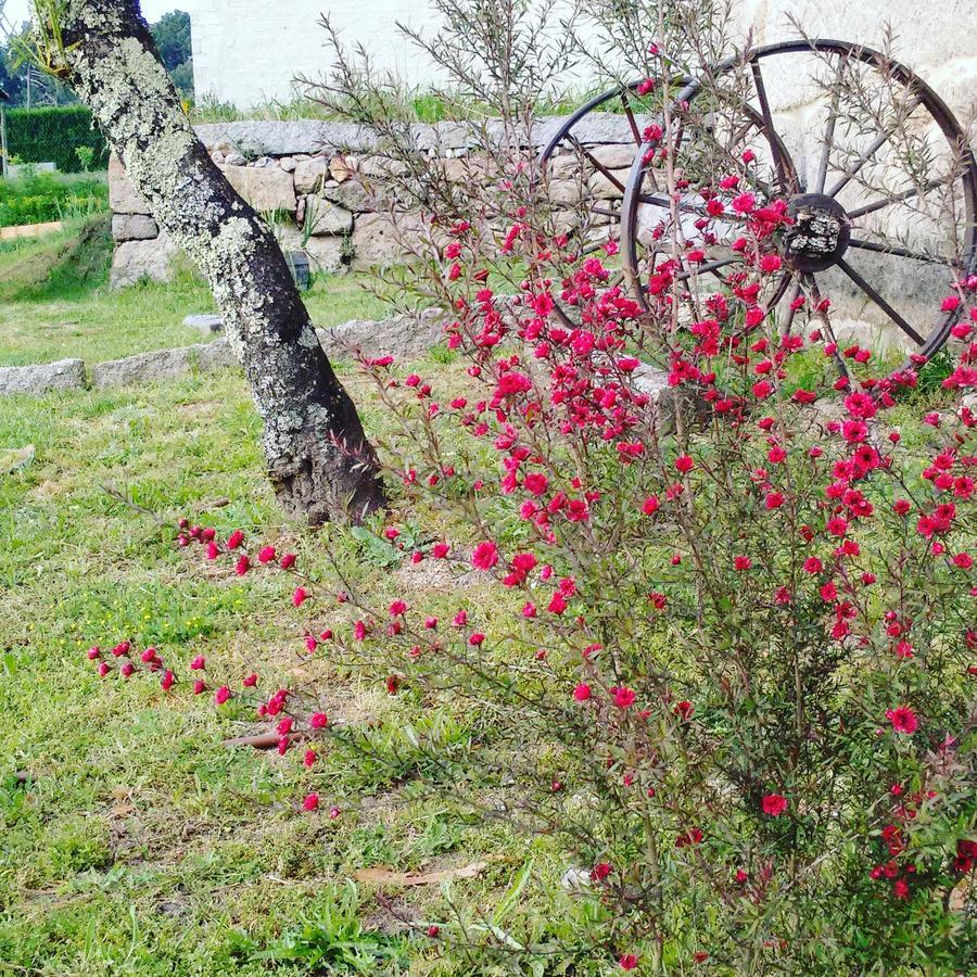 A Cantaruxa Maruxa Turismo Rural Mondariz Luaran gambar